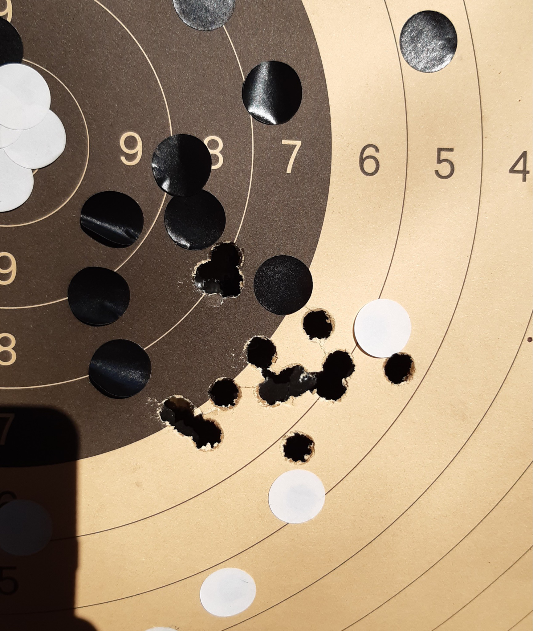 Cal. .461 | Heavy Sharps Lang 